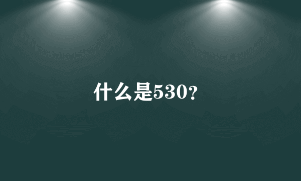 什么是530？