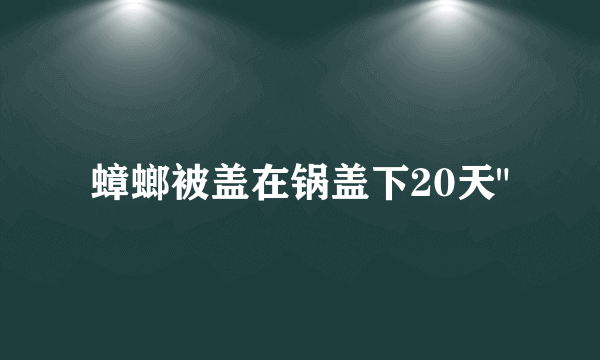蟑螂被盖在锅盖下20天