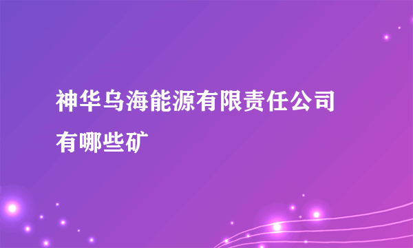 神华乌海能源有限责任公司 有哪些矿