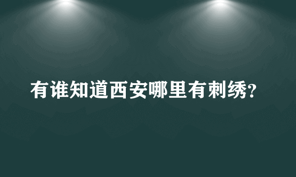 有谁知道西安哪里有刺绣？