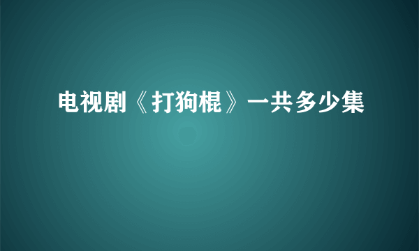 电视剧《打狗棍》一共多少集