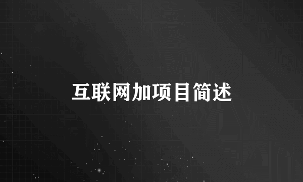 互联网加项目简述