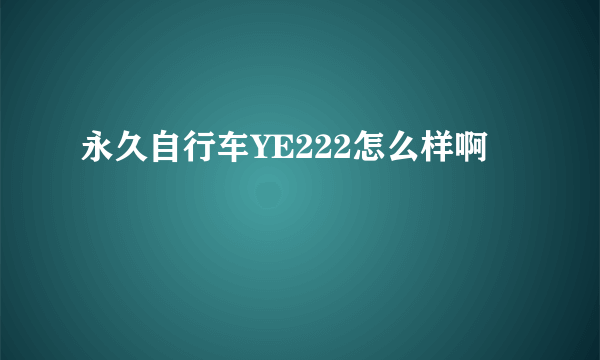 永久自行车YE222怎么样啊