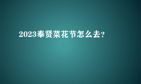 2023奉贤菜花节怎么去？