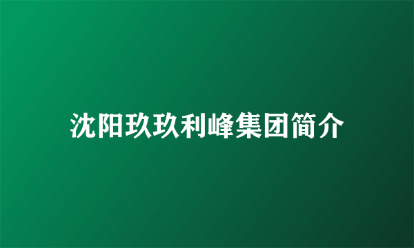 沈阳玖玖利峰集团简介
