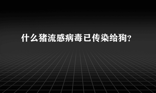 什么猪流感病毒已传染给狗？