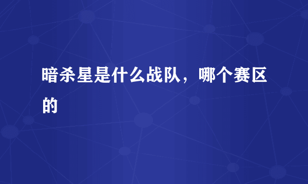 暗杀星是什么战队，哪个赛区的