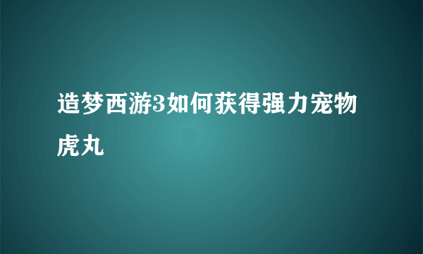 造梦西游3如何获得强力宠物虎丸
