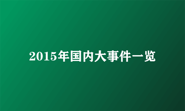 2015年国内大事件一览