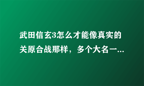 武田信玄3怎么才能像真实的关原合战那样，多个大名一起在一张地图上合战，我玩的只能两家作战
