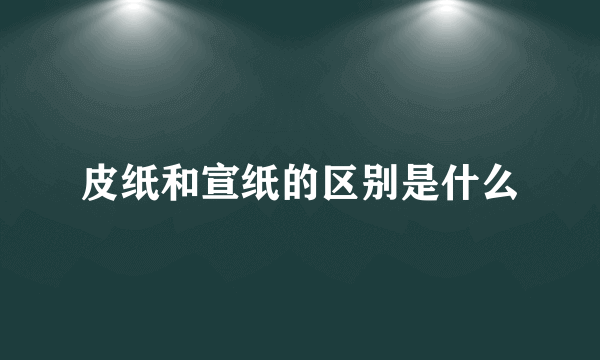 皮纸和宣纸的区别是什么