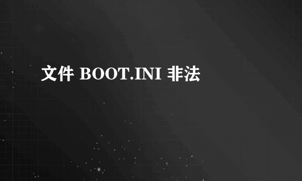 文件 BOOT.INI 非法