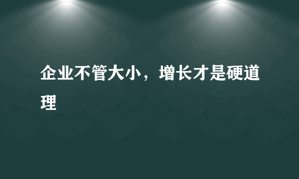 企业不管大小，增长才是硬道理