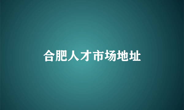 合肥人才市场地址