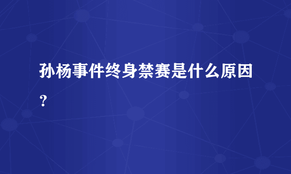 孙杨事件终身禁赛是什么原因？