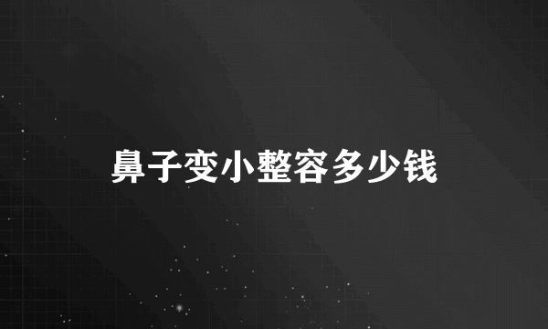 鼻子变小整容多少钱
