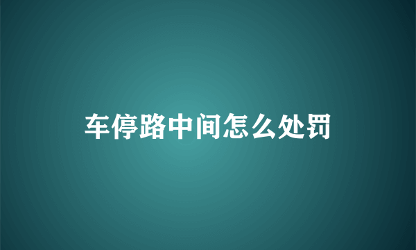 车停路中间怎么处罚