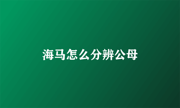 海马怎么分辨公母