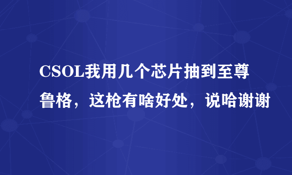 CSOL我用几个芯片抽到至尊鲁格，这枪有啥好处，说哈谢谢