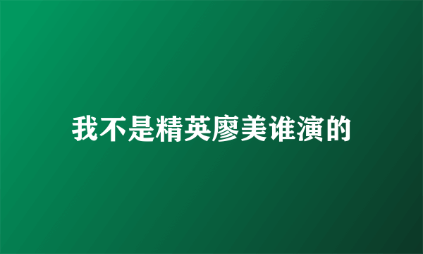 我不是精英廖美谁演的