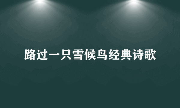 路过一只雪候鸟经典诗歌