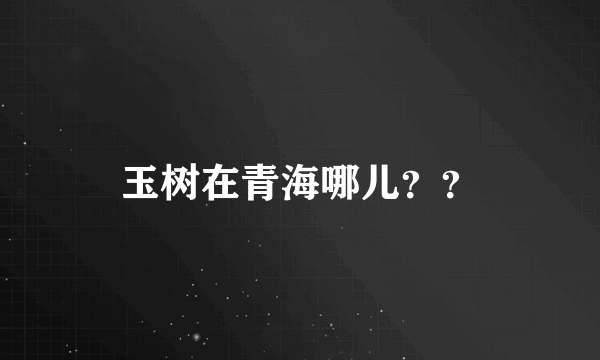 玉树在青海哪儿？？