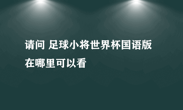 请问 足球小将世界杯国语版 在哪里可以看