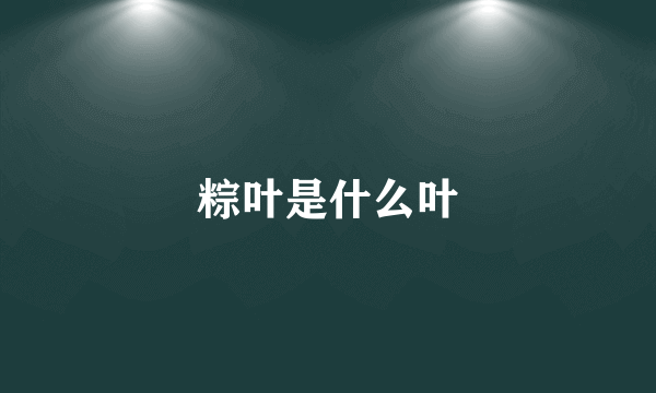 粽叶是什么叶