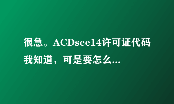 很急。ACDsee14许可证代码我知道，可是要怎么修改注册表键值阿？请具体点！！