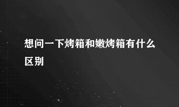 想问一下烤箱和嫩烤箱有什么区别