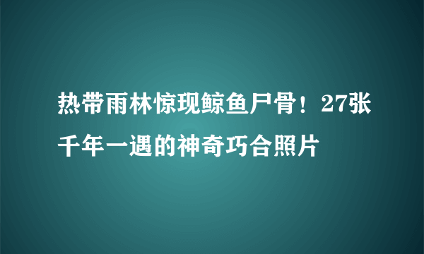 热带雨林惊现鲸鱼尸骨！27张千年一遇的神奇巧合照片