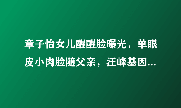 章子怡女儿醒醒脸曝光，单眼皮小肉脸随父亲，汪峰基因太强大！你怎么看？