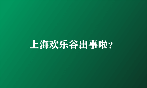 上海欢乐谷出事啦？