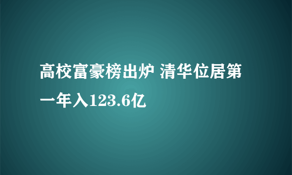 高校富豪榜出炉 清华位居第一年入123.6亿