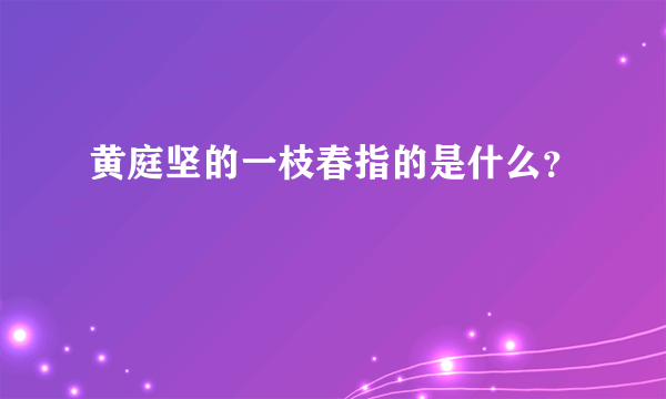 黄庭坚的一枝春指的是什么？