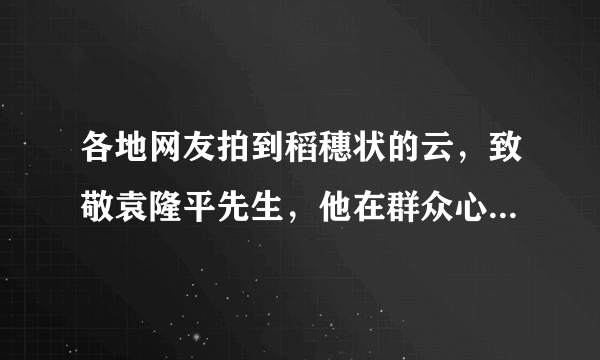 各地网友拍到稻穗状的云，致敬袁隆平先生，他在群众心目中有多伟大？