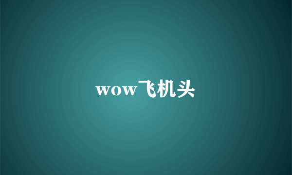 wow飞机头