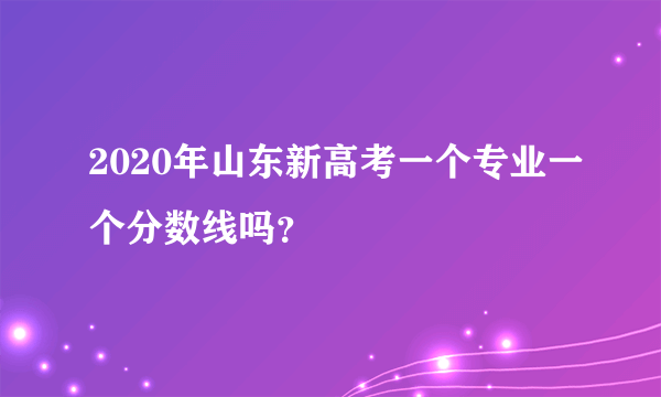 2020年山东新高考一个专业一个分数线吗？