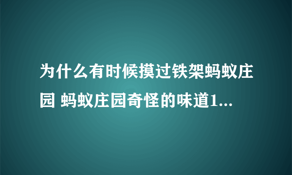 为什么有时候摸过铁架蚂蚁庄园 蚂蚁庄园奇怪的味道10.29