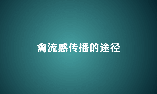 禽流感传播的途径