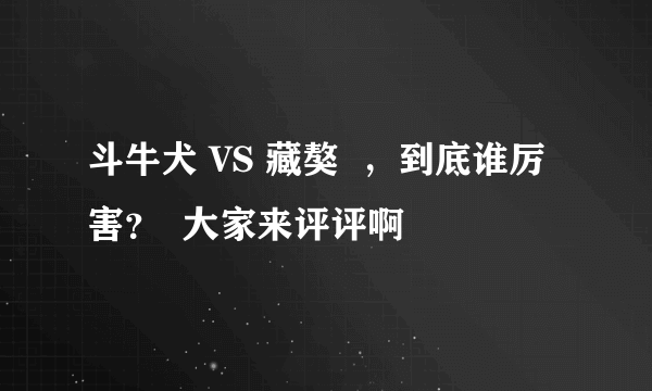 斗牛犬 VS 藏獒  ，到底谁厉害？  大家来评评啊