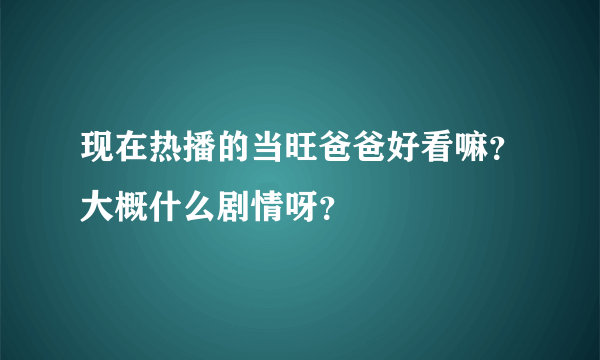 现在热播的当旺爸爸好看嘛？大概什么剧情呀？