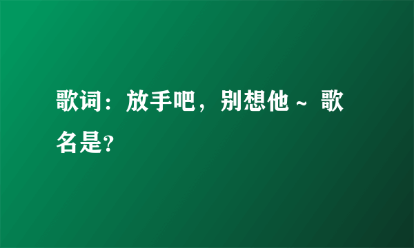 歌词：放手吧，别想他～ 歌名是？