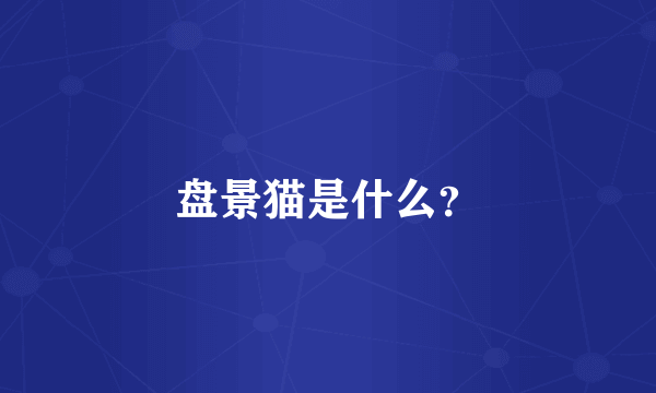 盘景猫是什么？