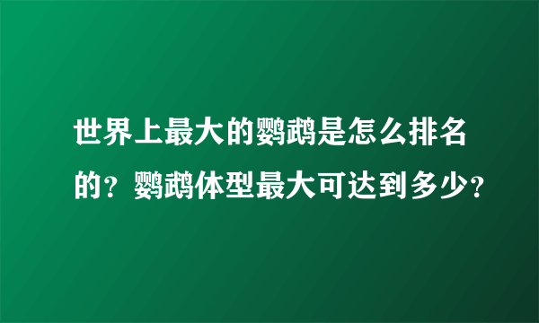 世界上最大的鹦鹉是怎么排名的？鹦鹉体型最大可达到多少？