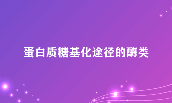 蛋白质糖基化途径的酶类