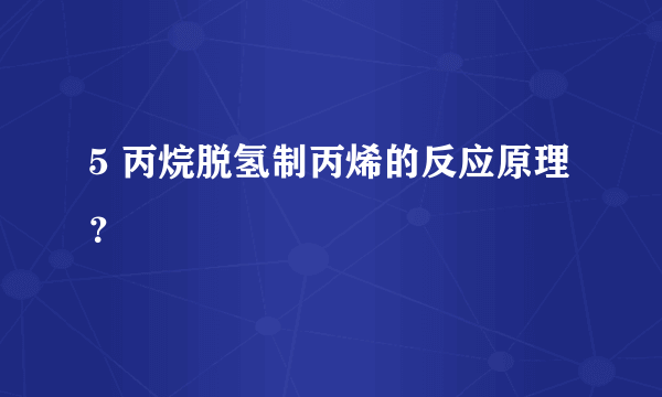5 丙烷脱氢制丙烯的反应原理？