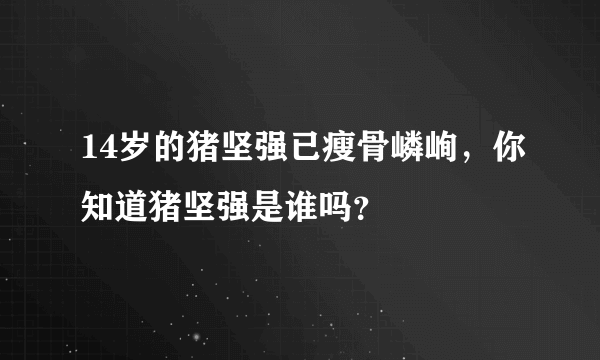 14岁的猪坚强已瘦骨嶙峋，你知道猪坚强是谁吗？