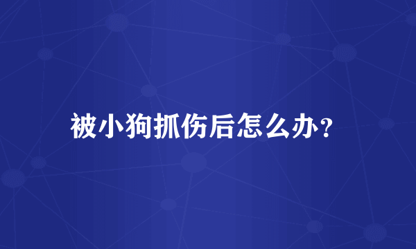 被小狗抓伤后怎么办？