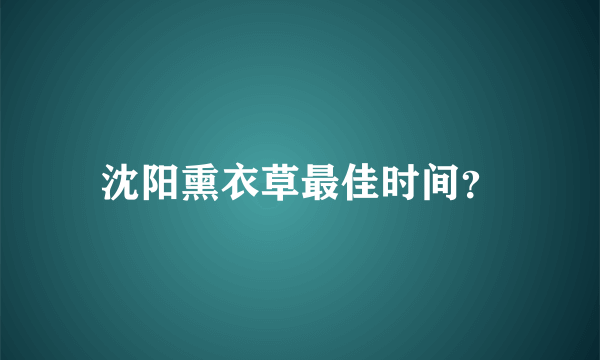 沈阳熏衣草最佳时间？